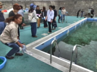 DSC04280.jpg
