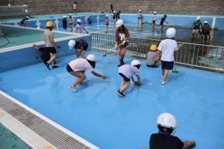 IMG_3568.JPG