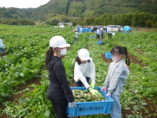 071021daikonsyuukaku (8).JPG