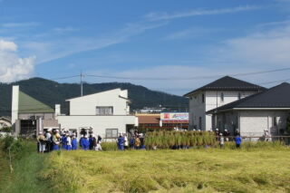 稲刈り8.JPG