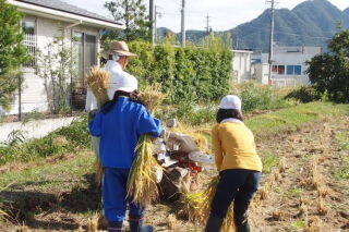 稲刈り7.JPG