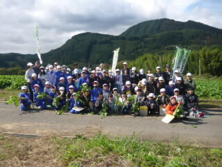 071021daikonsyuukaku (1).JPG