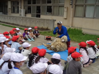 DSC02489.JPG