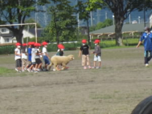 IMG_2461.JPG