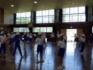 DSC00185.jpg