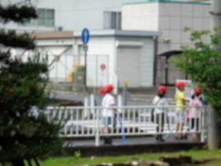 DSC00452.jpg
