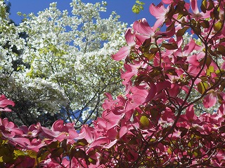 DSCN0164.jpg
