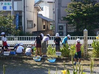DSCN1521.jpg