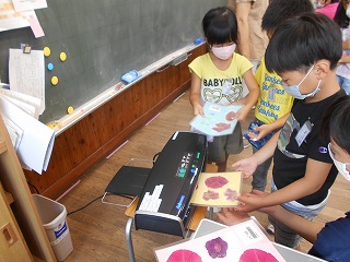 DSCN1661.jpg
