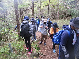 IMG_3087.jpg