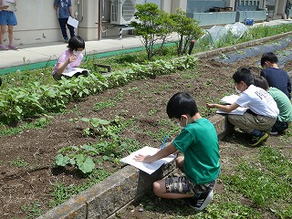 P1000184.jpg