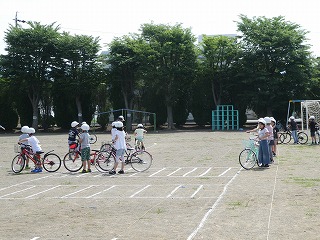 P1000307.jpg