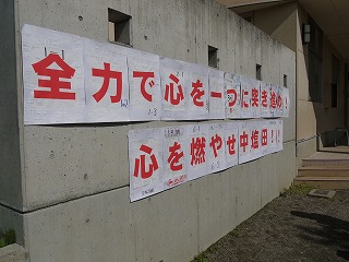 P1020478.jpg
