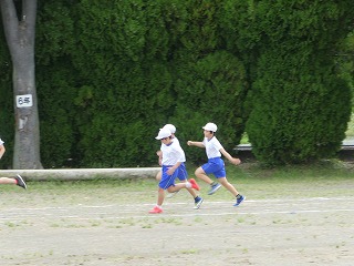 P1020661.jpg