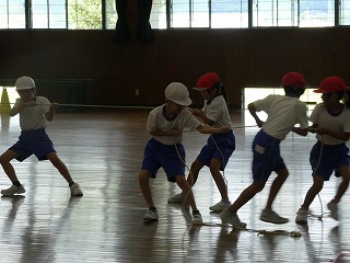 P1020782.jpg