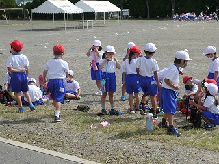 P1020796.jpg