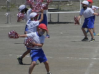 P1070576.jpg
