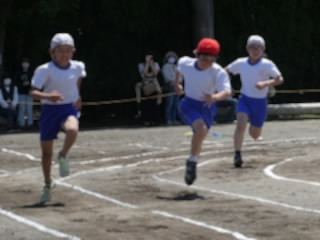 P1070821.jpg