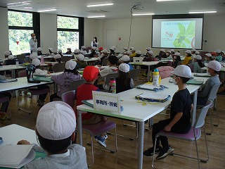 P1110618.jpg