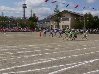 sP1010230.jpg