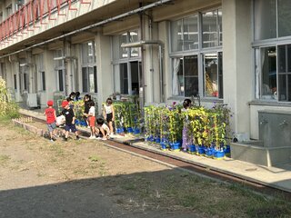 IMG_0546.JPG
