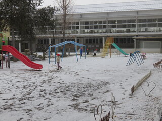 IMG_7375.JPG