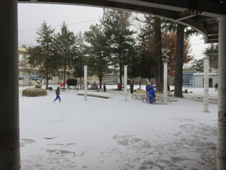 IMG_7378.JPG