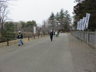 IMG_7600.JPG