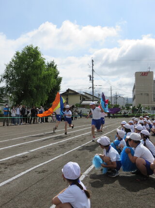 IMG_8017.JPG