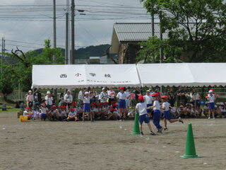 IMG_8089.JPG