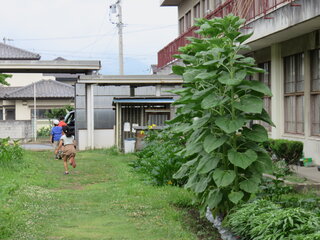 IMG_8289.JPG
