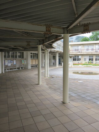 IMG_8419.JPG