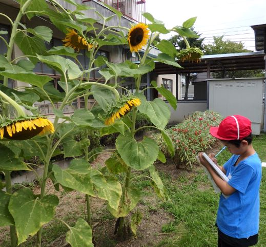 P8250945サイズ.JPG