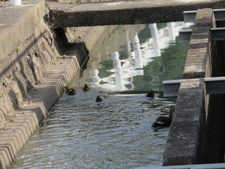 IMG_7934.JPG