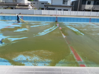 20200609pool001.JPG