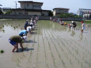 20200609taue001.JPG
