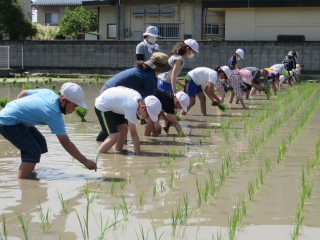 20200609taue002.JPG