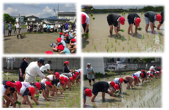 20240618_taue.png