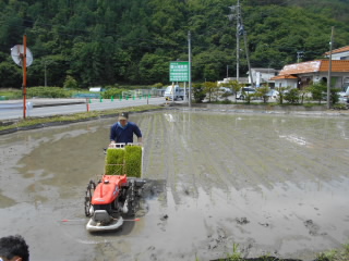 田植え (1).JPG