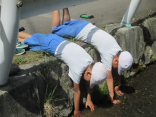20250516sanpo2nen04.jpg
