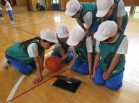 202507basket01.jpg