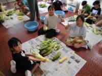 202508corn01.jpg