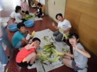 202508corn02.jpg