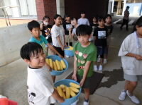 202508corn03.jpg