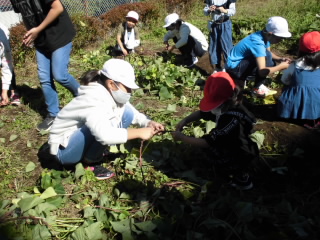 20201026risu003.JPG