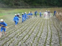 20241105dakkoku03.JPG
