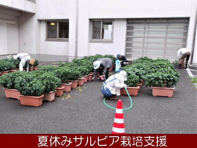 20250901top.gif
