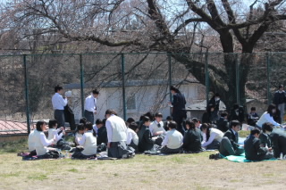 20190416ohanamikyuusyoku002.JPG