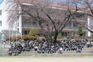 20190416ohanamikyuusyoku003.JPG