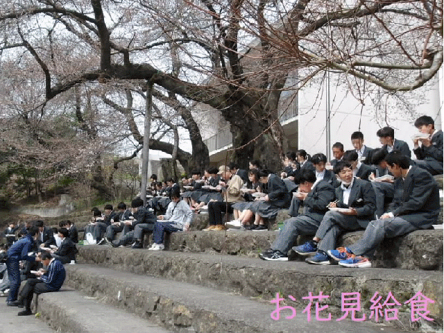 20240517top.gif